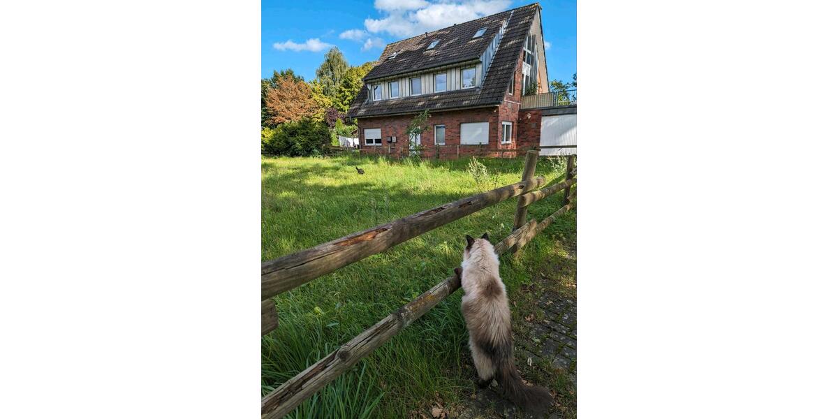 Etagenwohnung Greven - 2 Zimmer, 55 m&sup2;, 520&euro; | Angebot:24896160