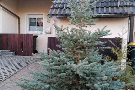 Haus Dippoldiswalde - 4.5 Zimmer, 102 m&sup2;, 240.000&euro; | Angebot:27529294