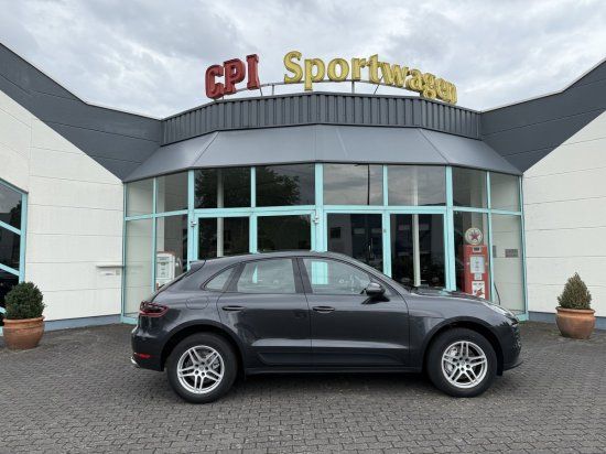 Macan