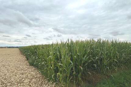 Grundstück Ebershausen - 129.900&euro; | Angebot:22193937