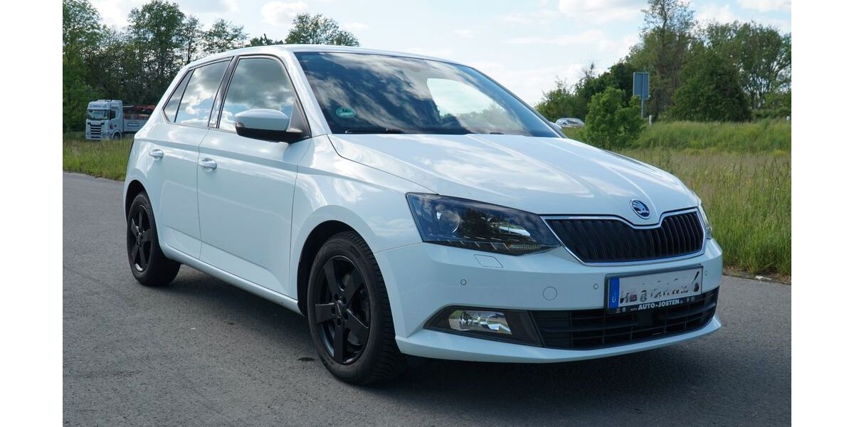 Skoda Fabia 183.500 km 6.400 &euro; Angelbachtal 74918