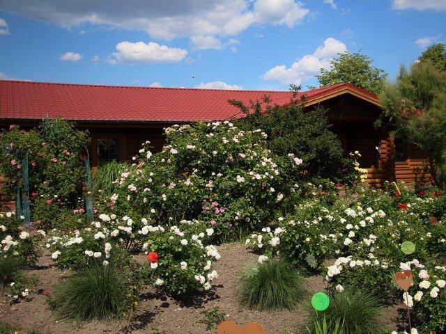 Einfamilienhaus Arendsee (Altmark) - 16 Zimmer, 492 m&sup2;, 850.000&euro; | Angebot:26777428