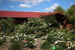 Einfamilienhaus Arendsee (Altmark) - 16 Zimmer, 492 m&sup2;, 850.000&euro; | Angebot:26777428
