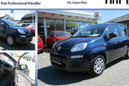 Fiat Panda 38.500 km 7.990 &euro; Gau-Algesheim 55435