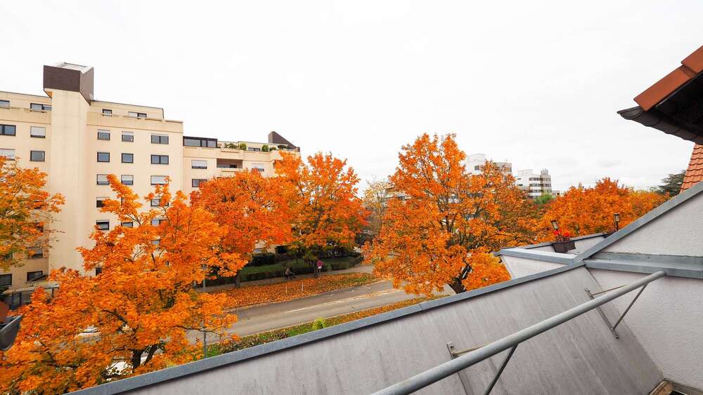 Einziehen und wohlfühlen. 2.5 zimmer