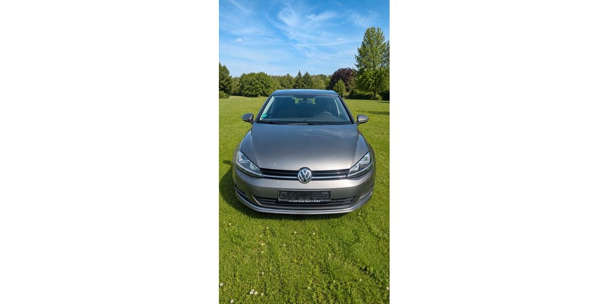 VW Golf 141.000 km 9.750 &euro; Sauensiek 21644
