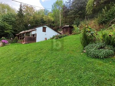 ROHDIAMANT - NATURGUNDSTÜCK MIT BESTAND - Grundstück Gerlingen | Angebot:26008061