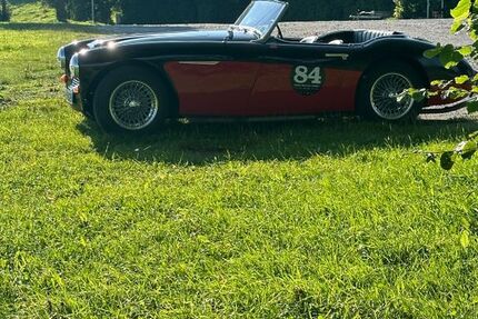 Austin Healey Andere 80.000 km 51.999 &euro; Hohenpeissenberg 82383