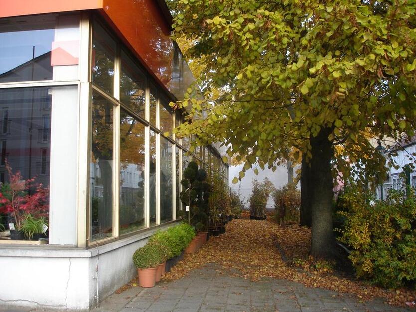 ✅ Wohn- und Geschäftshaus - TOP Lagerhaus in Zentrum