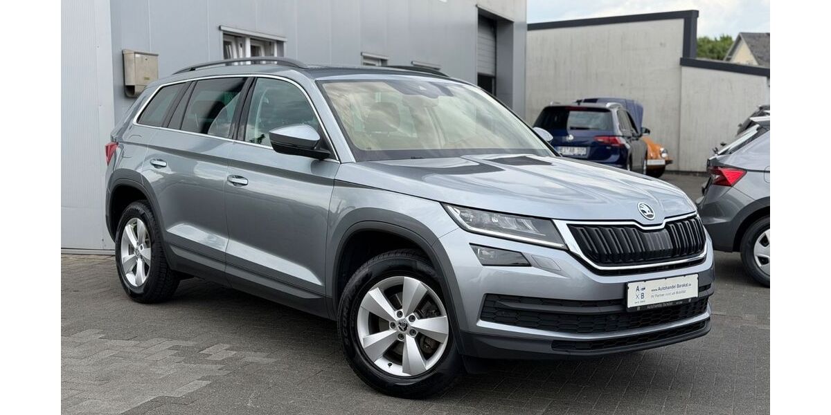 Skoda Kodiaq 299.680 km 13.690 &euro; Heide 25746