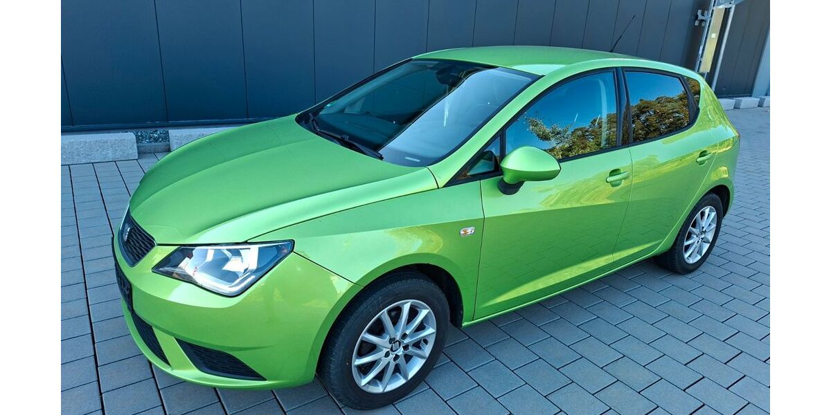Seat Ibiza 91.020 km 5.500 &euro; Wernberg-Köblitz 92533