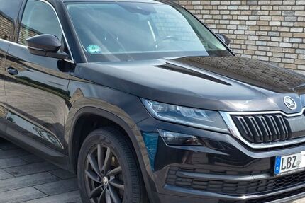 Skoda Kodiaq 125.012 km 19.500 &euro; Lübz 19386