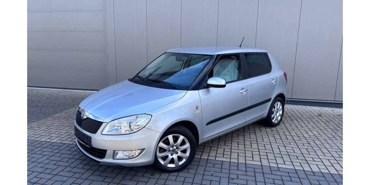 Skoda Fabia 51.000 km 8.499 &euro; Aurachtal 91086