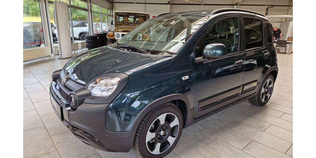 Fiat Panda 6.815 km 15.690 &euro; Winterberg 59955