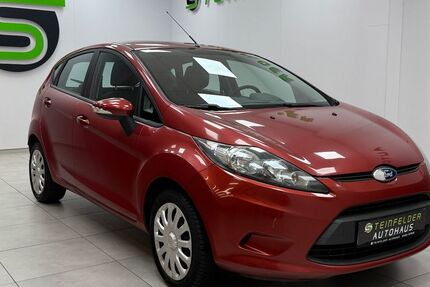 Ford Fiesta 121.110 km 3.990 &euro; Steinfeld 49439