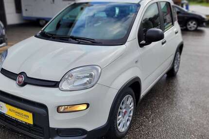 Fiat Panda 49.900 km 11.990 € Elzach 79215