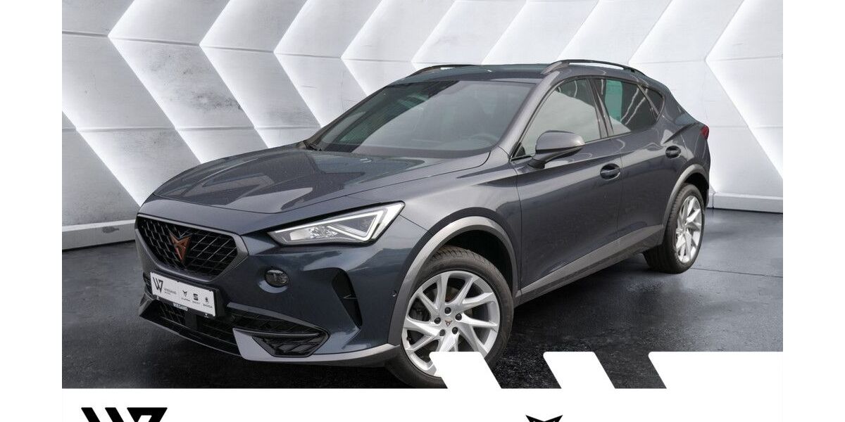 Cupra Formentor 59.237 km 23.907 &euro; Gelnhausen 63571