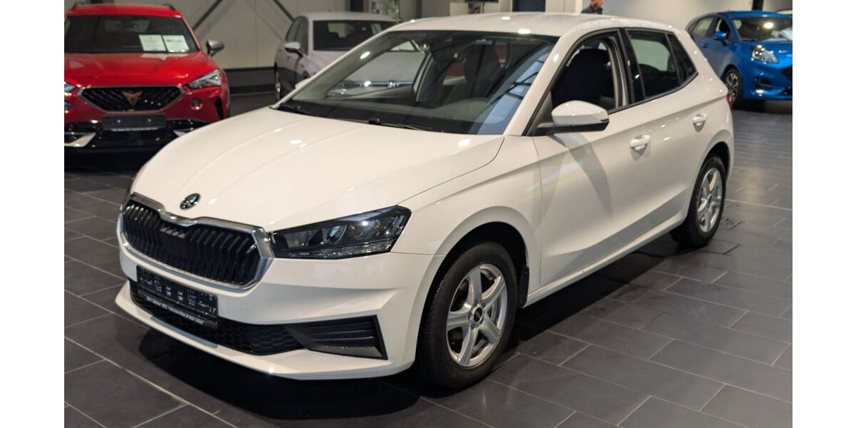 Skoda Fabia 65.000 km 13.900 € Weinheim 69469