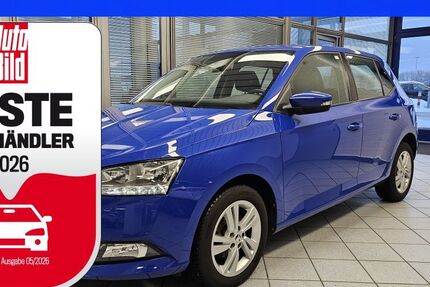 Skoda Fabia 45.906 km 13.200 &euro; Wolfsburg-Heiligendorf 38444