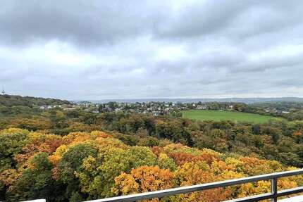 Wohnung zum Mieten in Wuppertal Katernberg 420 € 46 m² 1 zimmer