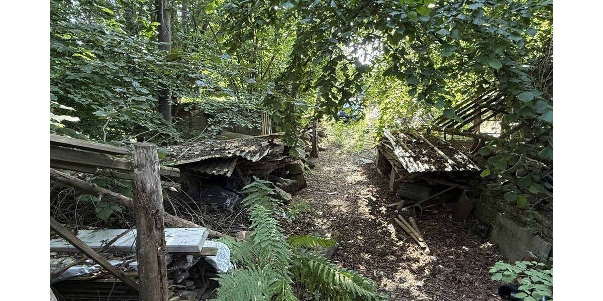 Grundstück Morschen Neumorschen - 20.000&euro; | Angebot:23942401