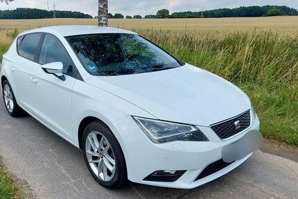 Seat Leon 205.000 km 7.500 &euro; Thomasburg 21401