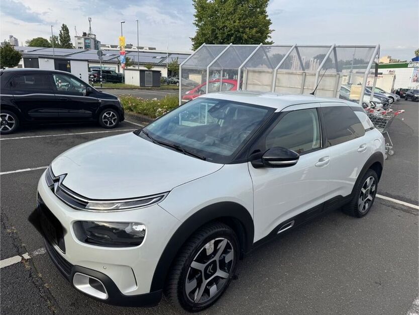 C4 Cactus
