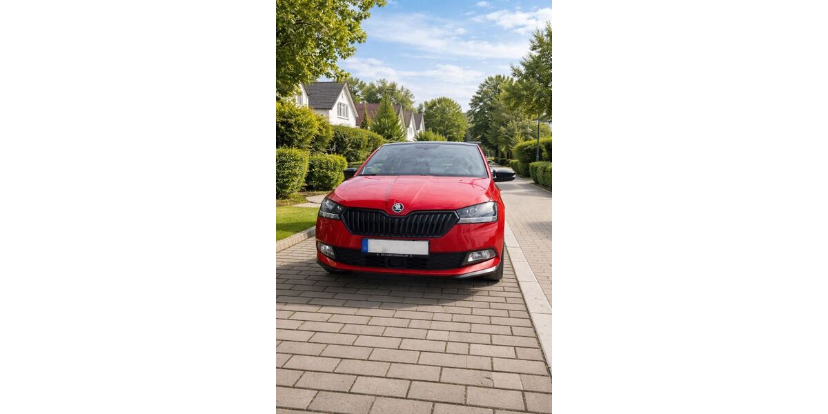 Skoda Fabia 60.000 km 13.250 &euro; Tamm 71732