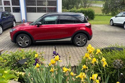 Smart #1 4.600 km 28.990 &euro; Königstein 92281