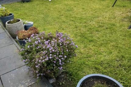 Eigentumswohnung Hagen 4,5 Zimmer mit eigenem Garten und Balkon 4 zimmer