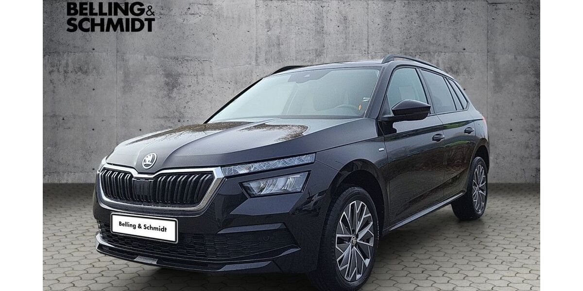Skoda Kamiq 94.100 km 18.660 &euro; Dannenberg 29451