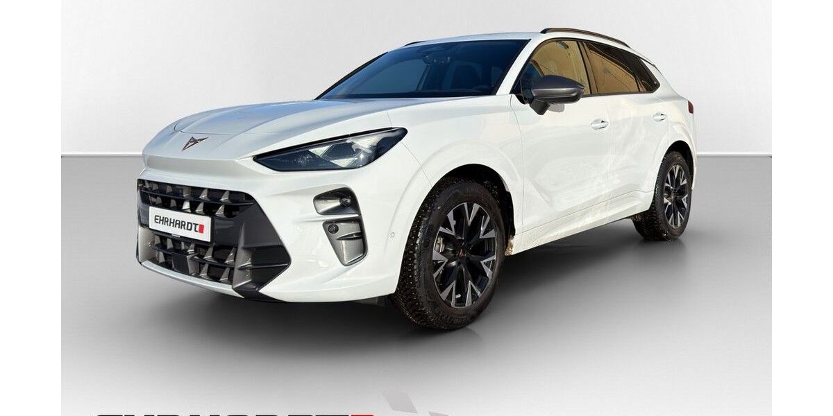 Cupra Terramar 28.080 km 33.490 &euro; Weimar 99427