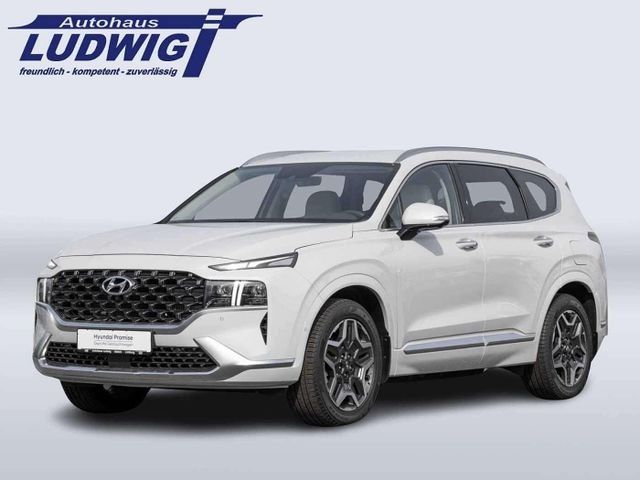 Hyundai SANTA FE 18.450 km 41.900 € Wirges 56422