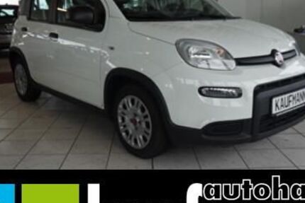 Fiat Panda 33.094 km 10.490 &euro; Aalen-Dewangen 73434