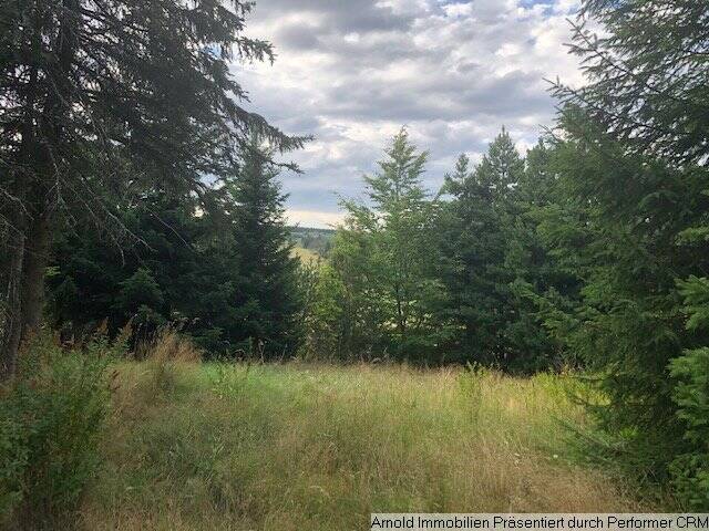 Grundstück Altenberg Zinnwald-Georgenfeld - 18.000&euro; | Angebot:25700102