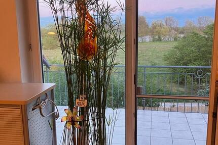 Wohnung Ingolstadt Münchener Straße - 4 Zimmer, 145 m&sup2;, 639.000&euro; | Angebot:26291937