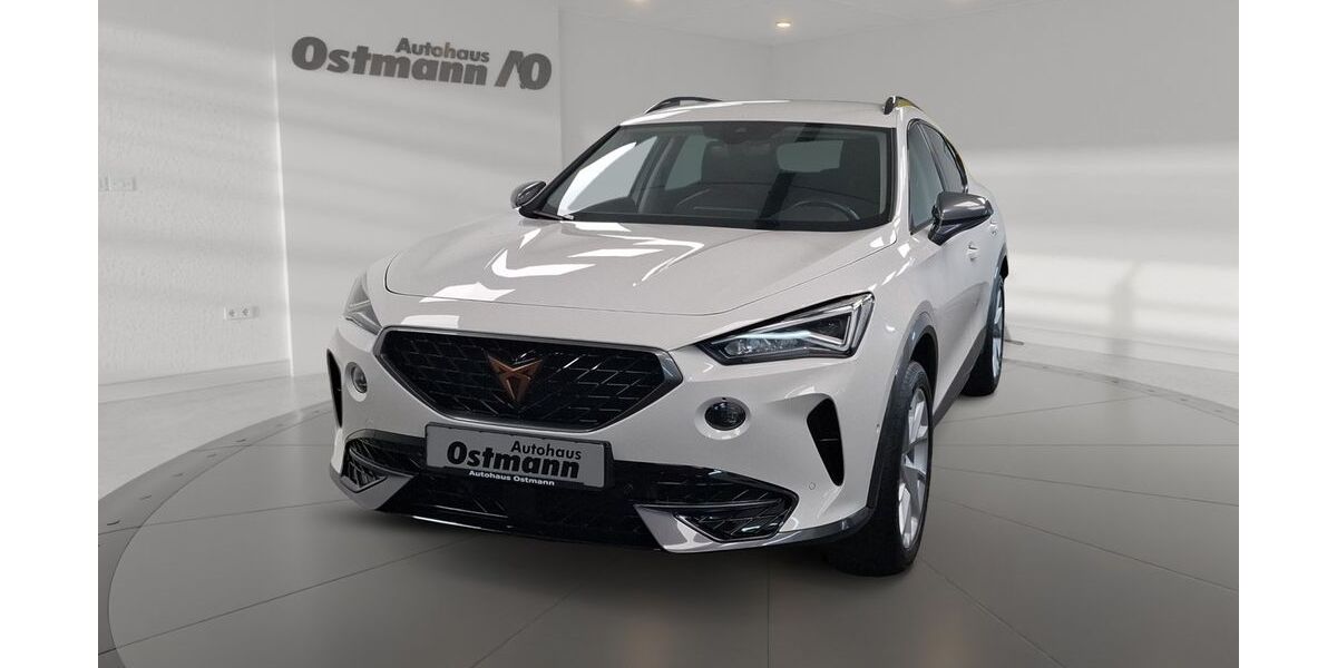 Cupra Formentor 15.839 km 29.710 &euro; Wolfhagen 34466