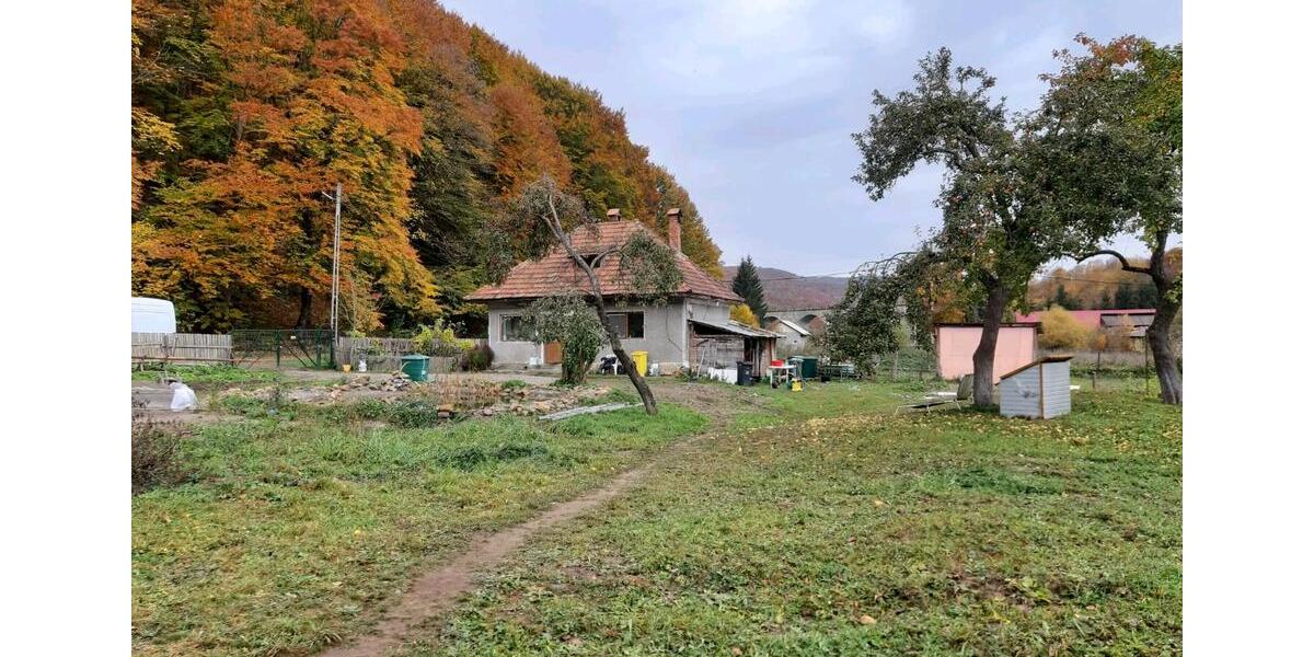 Einfamilienhaus Ganderkesee - 1 Zimmer, 45 m&sup2;, 55.000&euro; | Angebot:26883517
