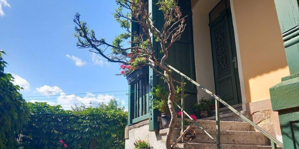 Etagenwohnung Crimmitschau - 2 Zimmer, 51 m&sup2;, 270&euro; | Angebot:25565318