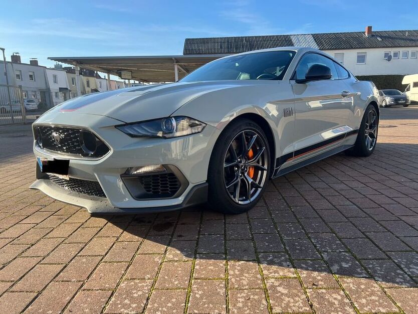 Mustang