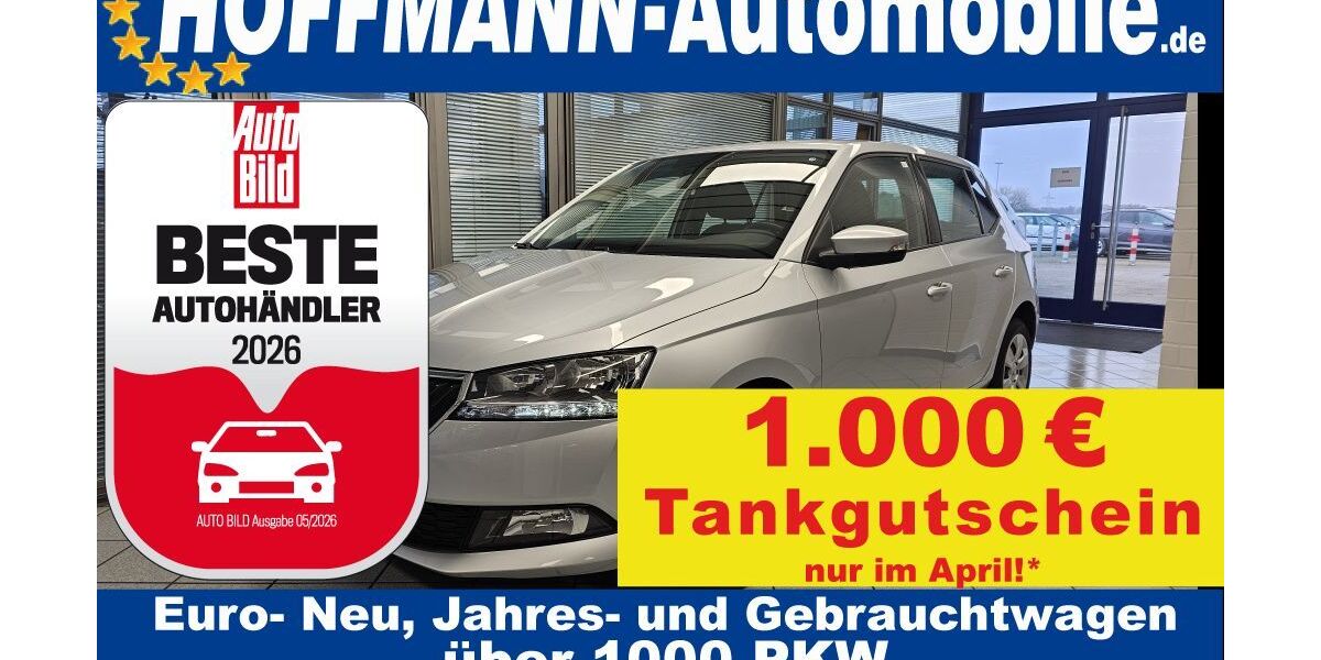 Skoda Fabia 45.322 km 10.450 &euro; Wolfsburg-Heiligendorf 38444