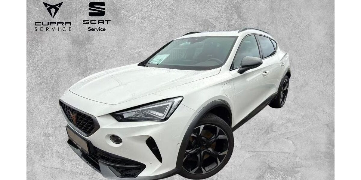 Cupra Formentor 41.350 km 27.900 &euro; Lossburg 72290