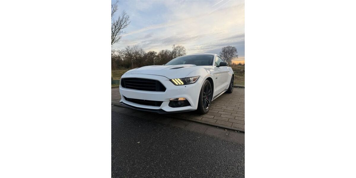 Ford Mustang 152.000 km 20.000 &euro; Mörfelden Walldorf 64546