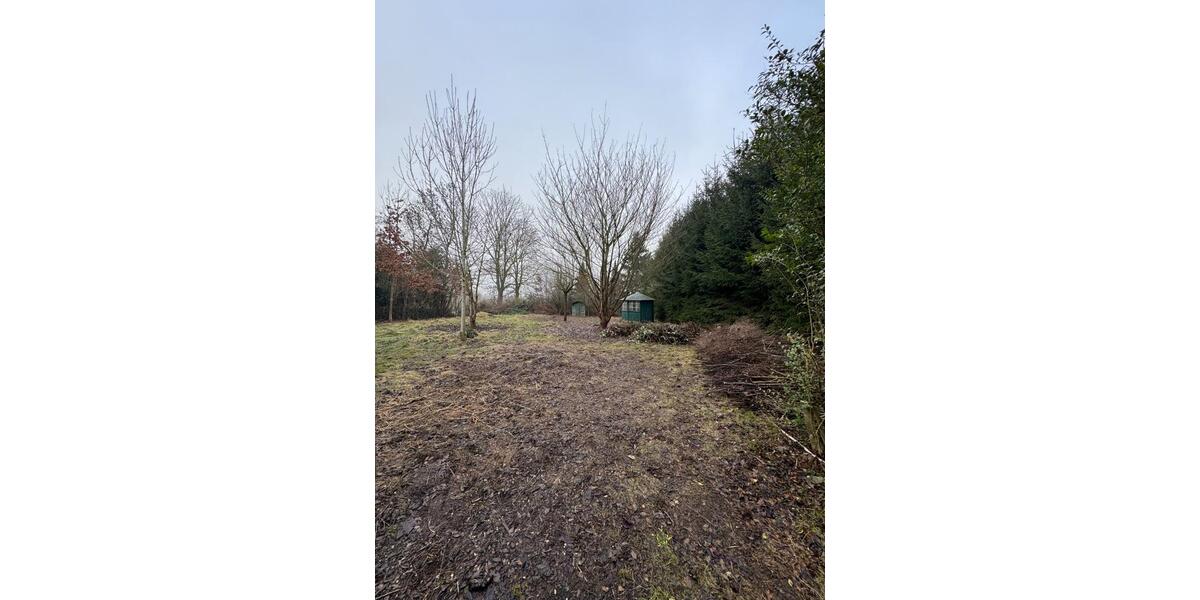 Einfamilienhaus Neubukow - 7 Zimmer, 215 m&sup2;, 229.000&euro; | Angebot:25636021