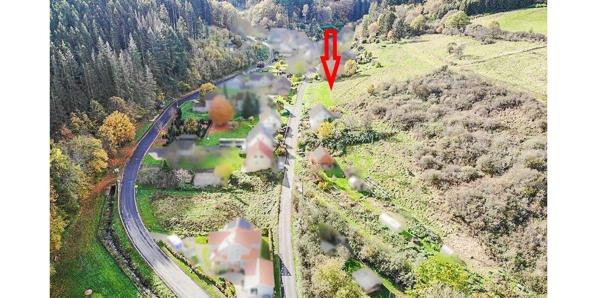 Grundstück Dümpelfeld-Lückenbach Lückenbach - 75.000&euro; | Angebot:25694331