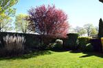 Bungalow Kalkar - 225.000&euro; | Angebot:26325984