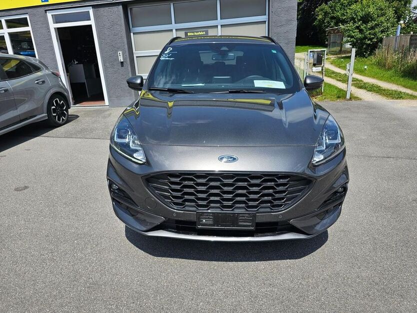 Kuga