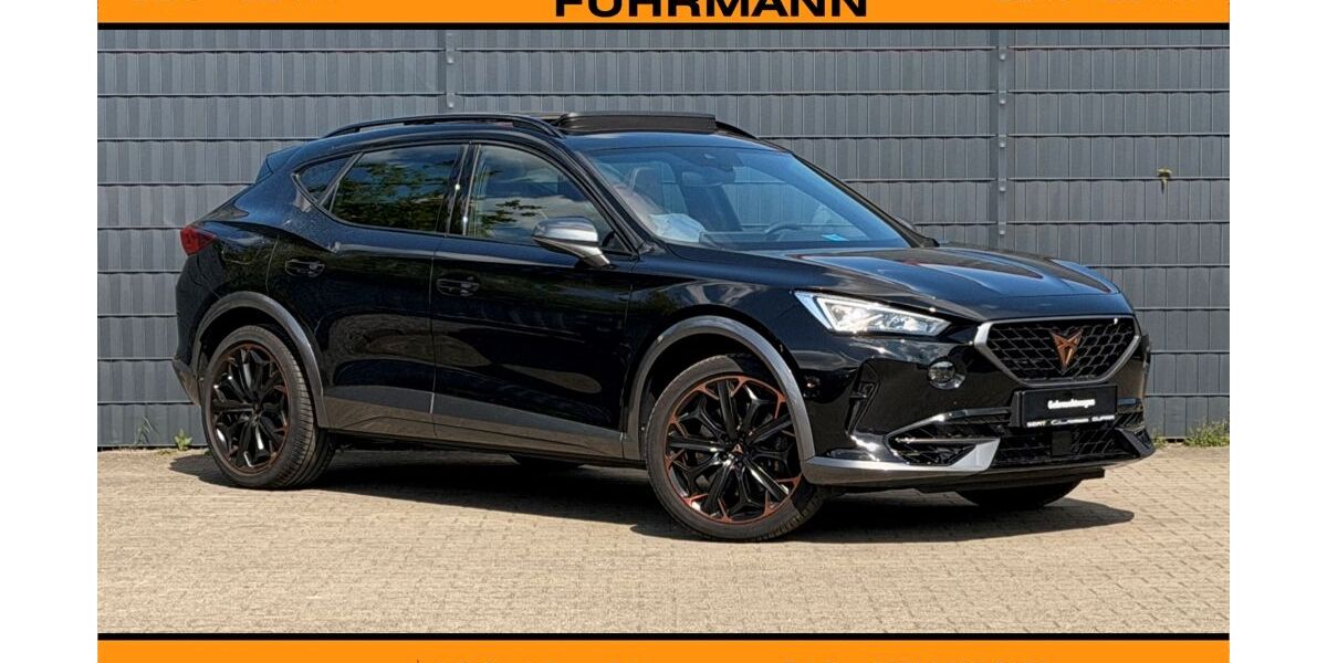 Cupra Formentor 33.788 km 31.990 &euro; Uelzen 29525