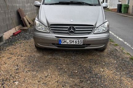 Mercedes Viano