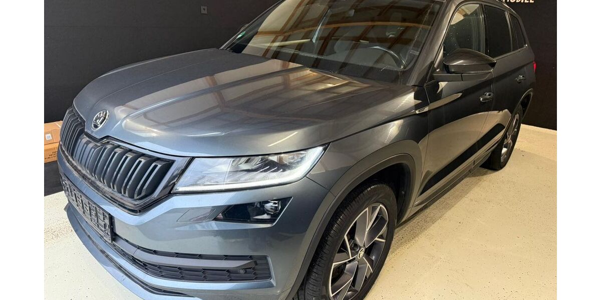 Skoda Kodiaq 194.000 km 20.468 &euro; Heidelberg 69123